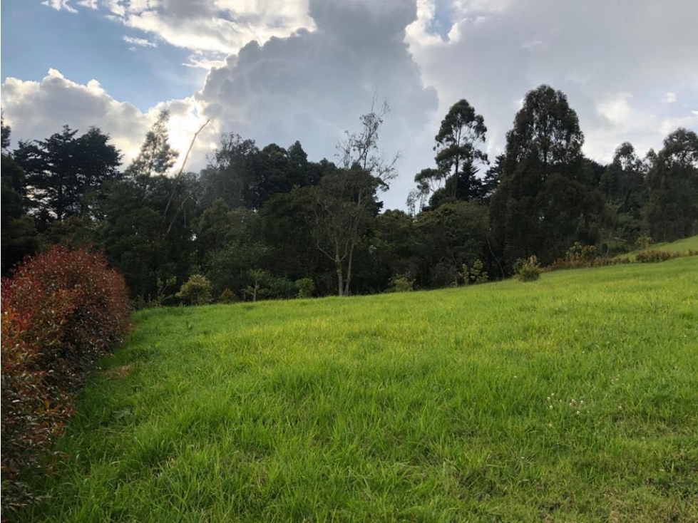 LOTE EN EL ALTO DE LAS PALMAS ANTES DEL PEAJE — foto 6