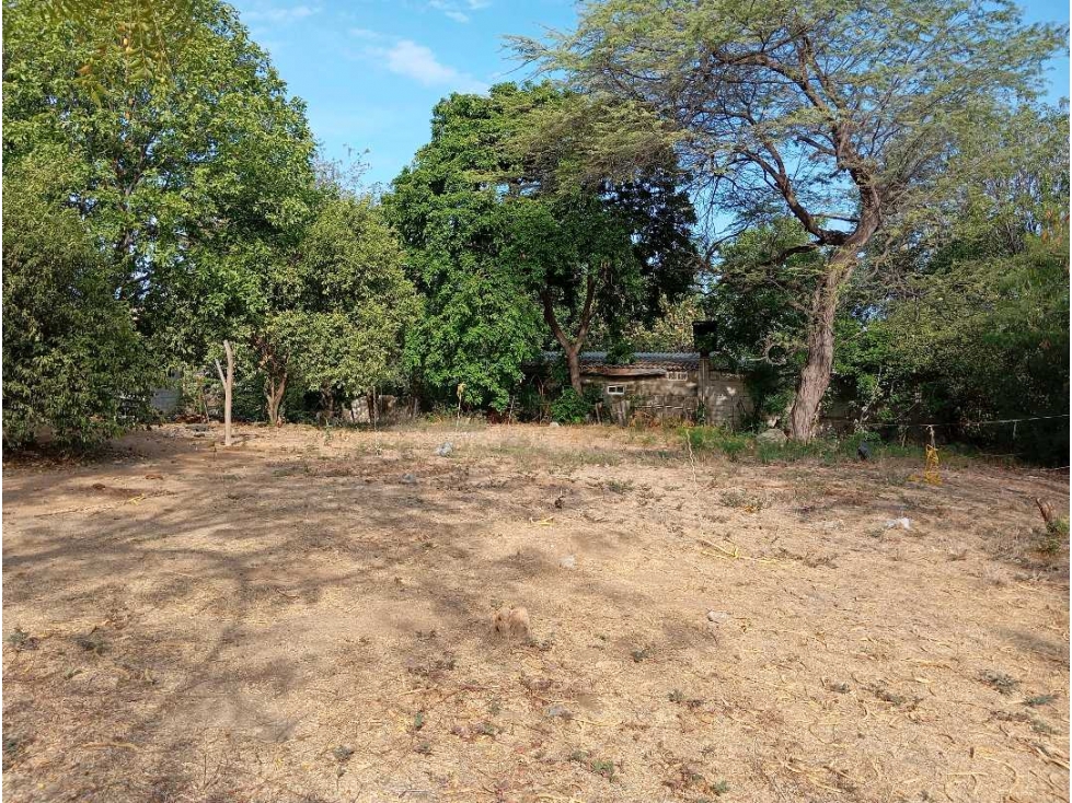 Lote en El Barrio La Paz Bello Horizonte Santa Marta Colombia
