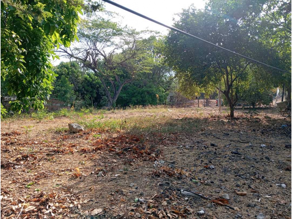 Lote en El Barrio La Paz Bello Horizonte Santa Marta Colombia — foto 5