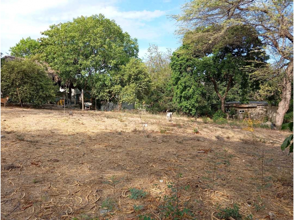 Lote en El Barrio La Paz Bello Horizonte Santa Marta Colombia — foto 6
