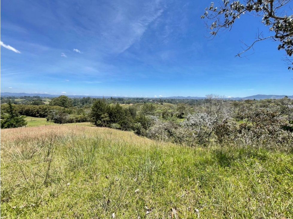 Lote en el capiro — foto 2