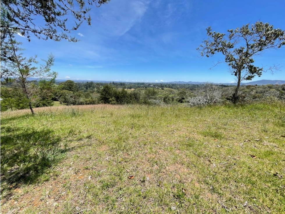 Lote en el capiro — foto 3