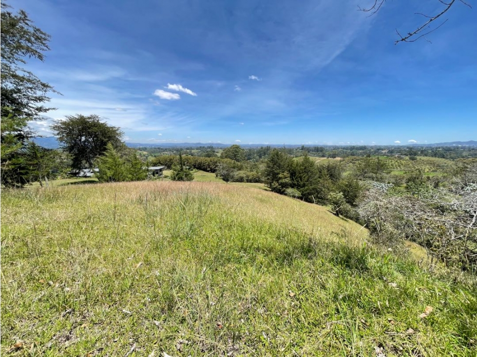 Lote en el capiro — foto 4