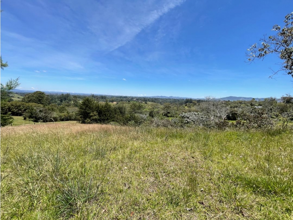 Lote en el capiro — foto 5