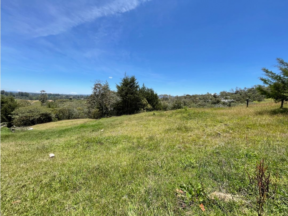Lote en el capiro — foto 3