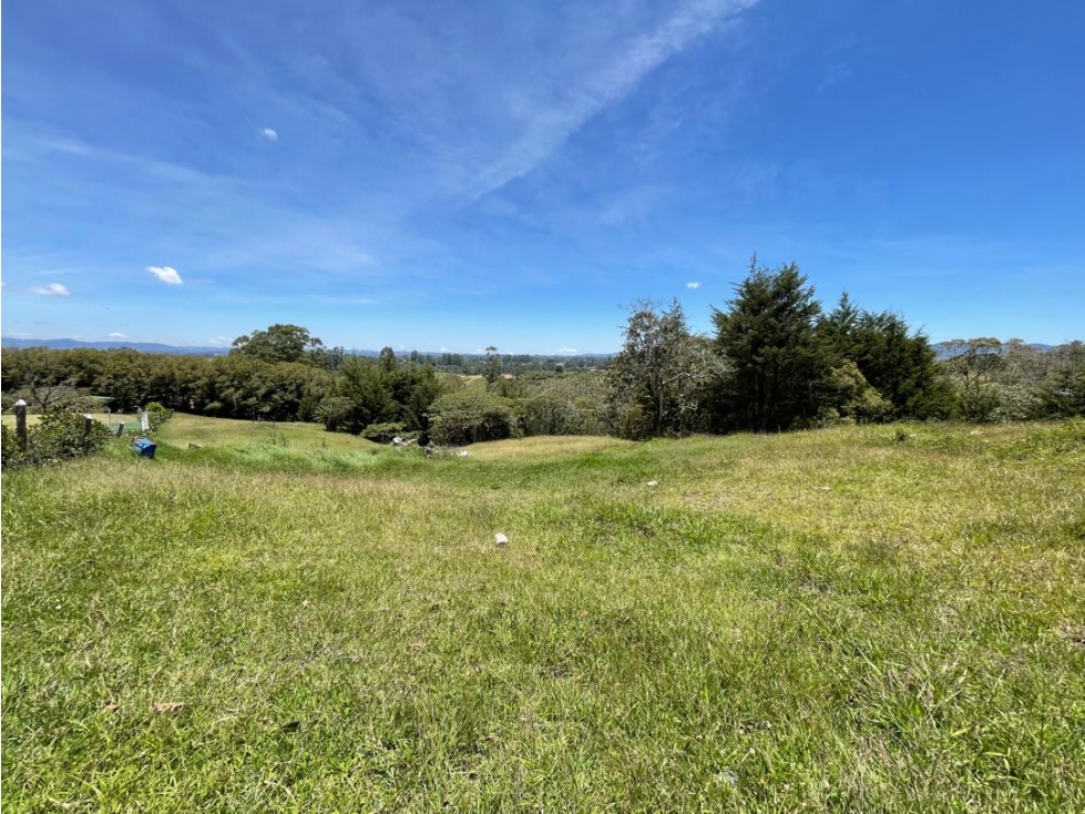 Lote en el capiro — foto 4