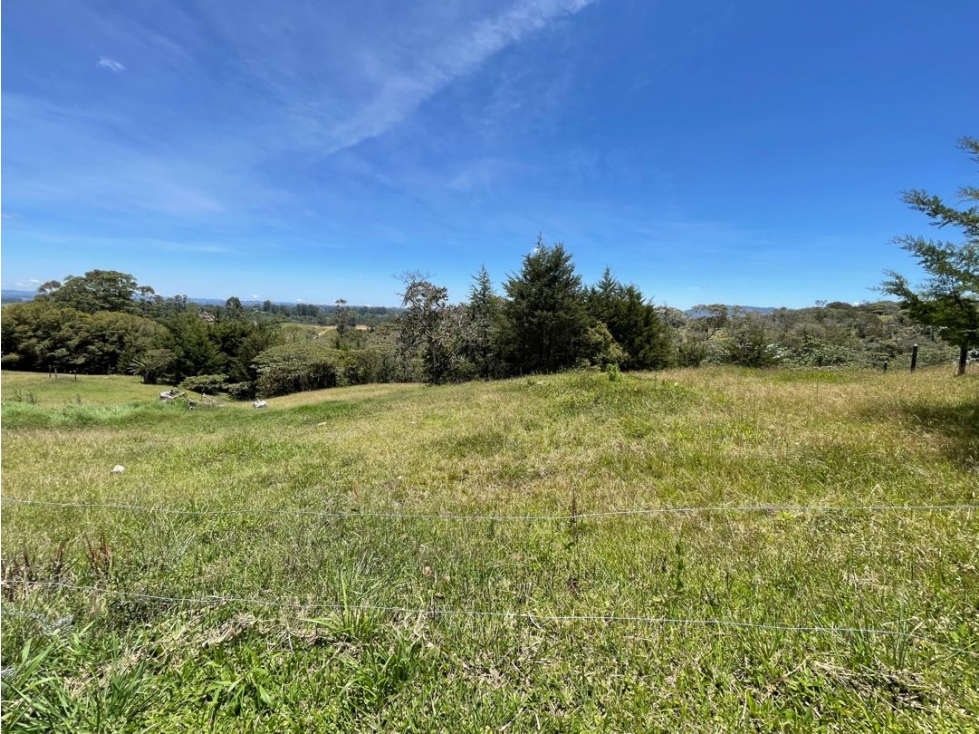 Lote en el capiro — foto 5