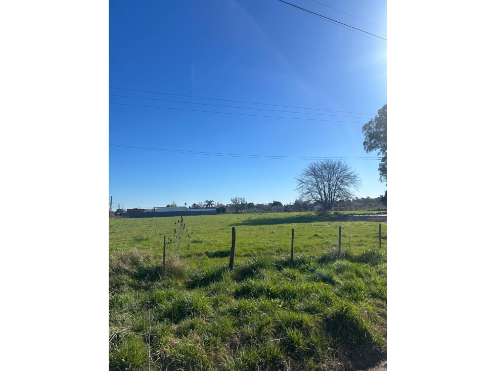 Lote en El Molino. Pueblo Nuevo