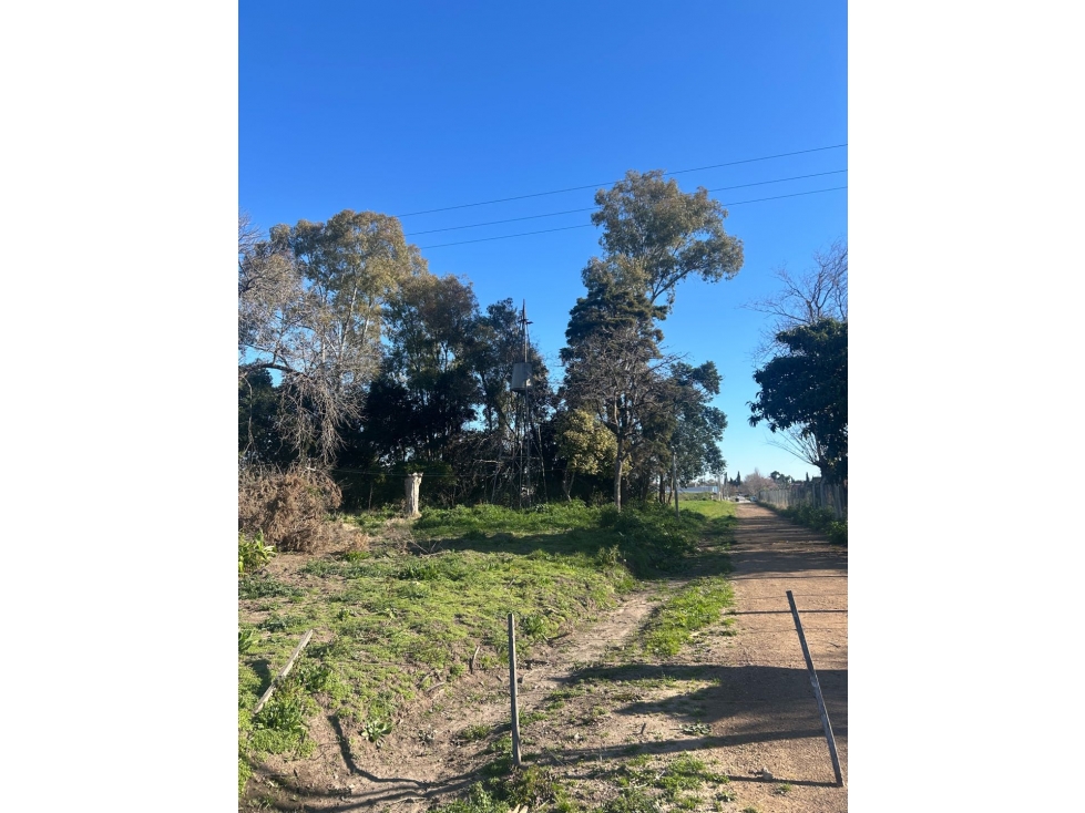 Lote en El Molino. Pueblo Nuevo — foto 2