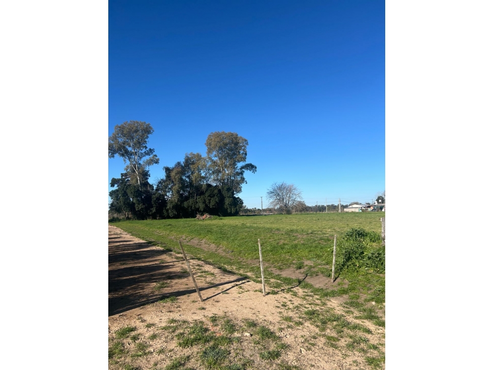 Lote en El Molino. Pueblo Nuevo — foto 3