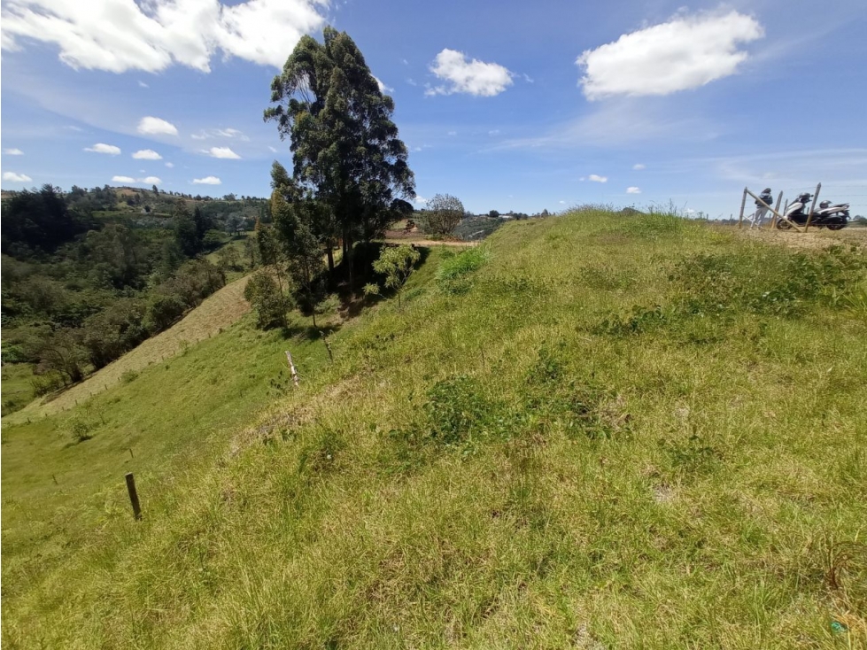LOTE EN SAN VICENTE, EXCELENTE VISTA