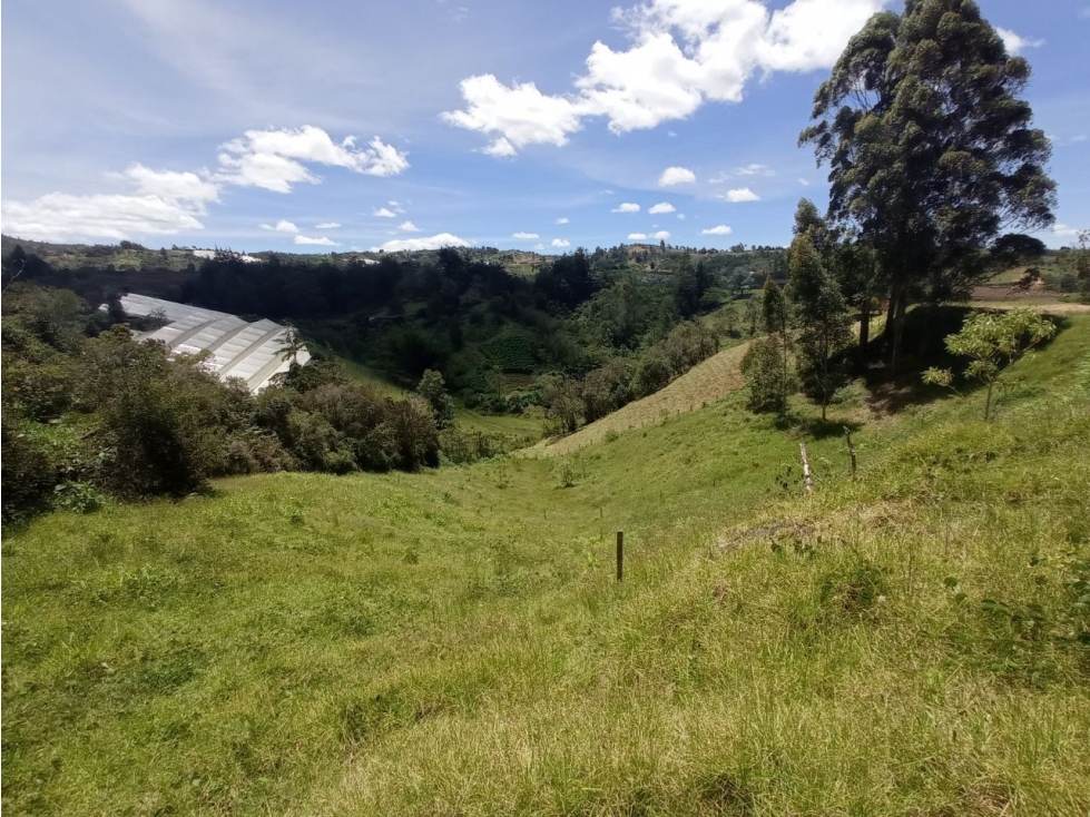 LOTE EN SAN VICENTE, EXCELENTE VISTA — foto 4