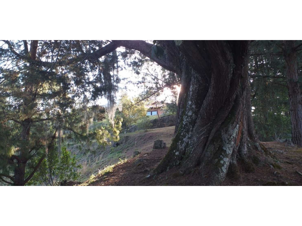 Lote en el oriente antioqueño para desarrollo - 6