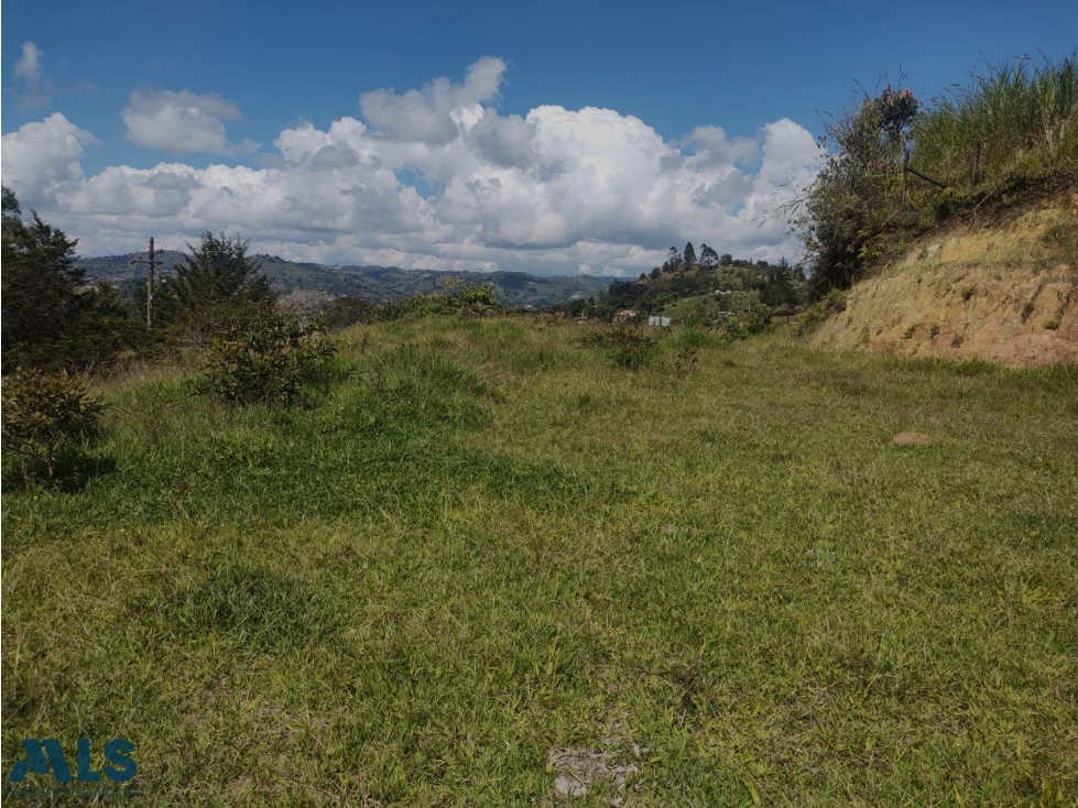 Lote en el penol(MLS#248508) - 1