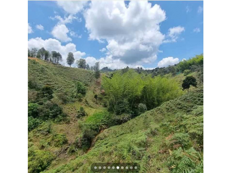 Lote En El Peñol Vereda El Marial - 4