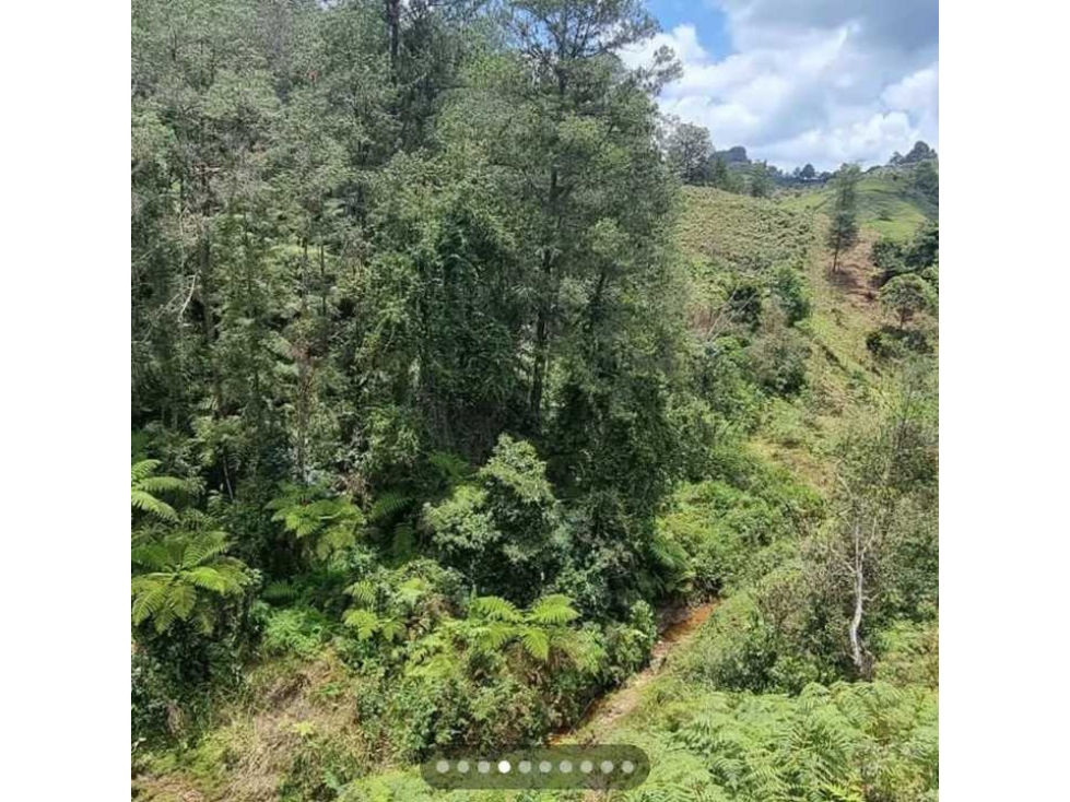 Lote En El Peñol Vereda El Marial - 6