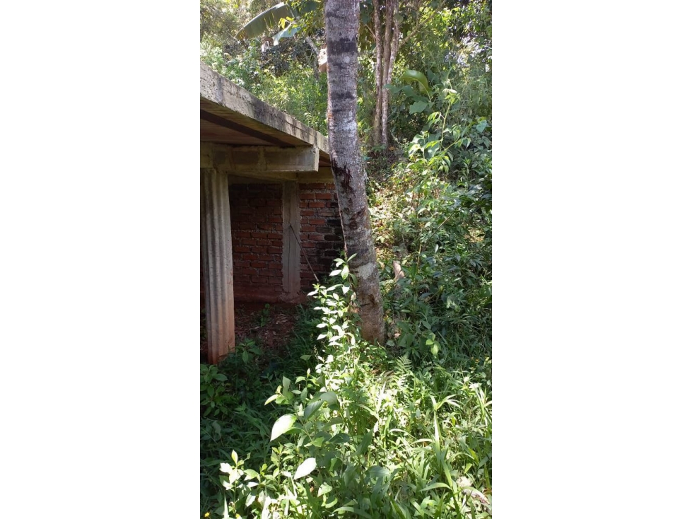 VENTA LOTE EN EL QUEREMAL W9424787 ISA-JR - 2