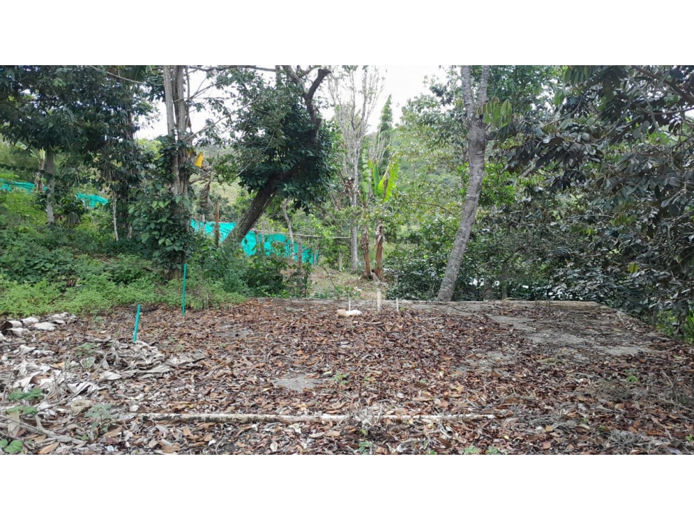 VENTA LOTE EN EL QUEREMAL W9424787 ISA-JR - 5