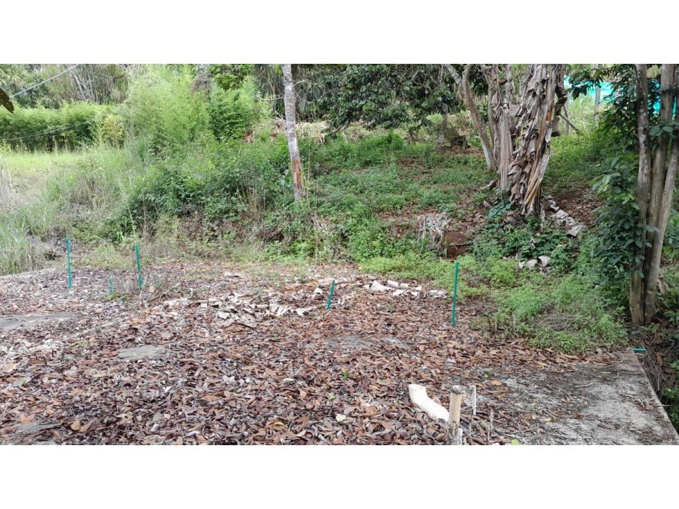 VENTA LOTE EN EL QUEREMAL W9424787 ISA-JR - 6