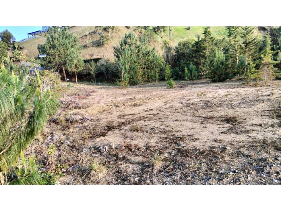Lote en El Retiro