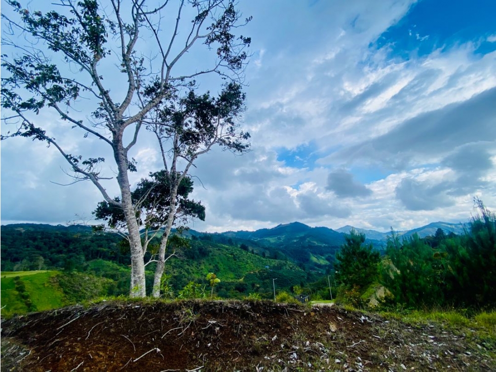 Lote en el Retiro con hermosa Vista en un entorno Campestre y Natural — foto 4