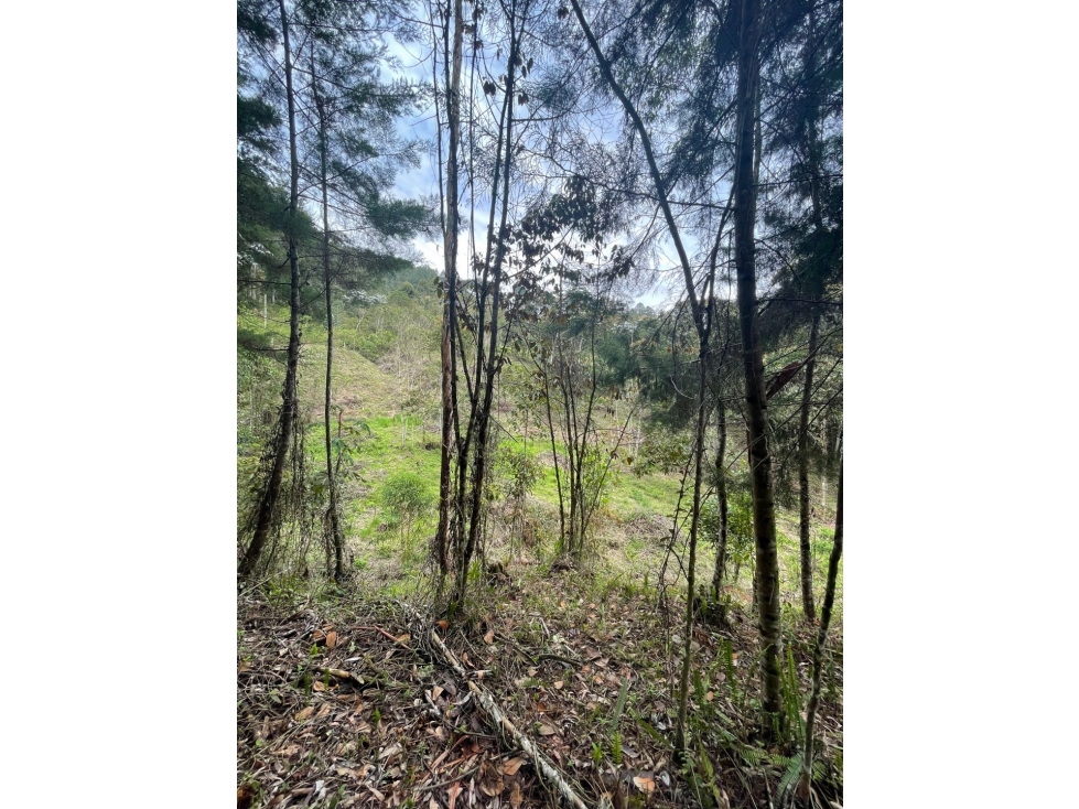 Lote en EL SALADITO, el Retiro