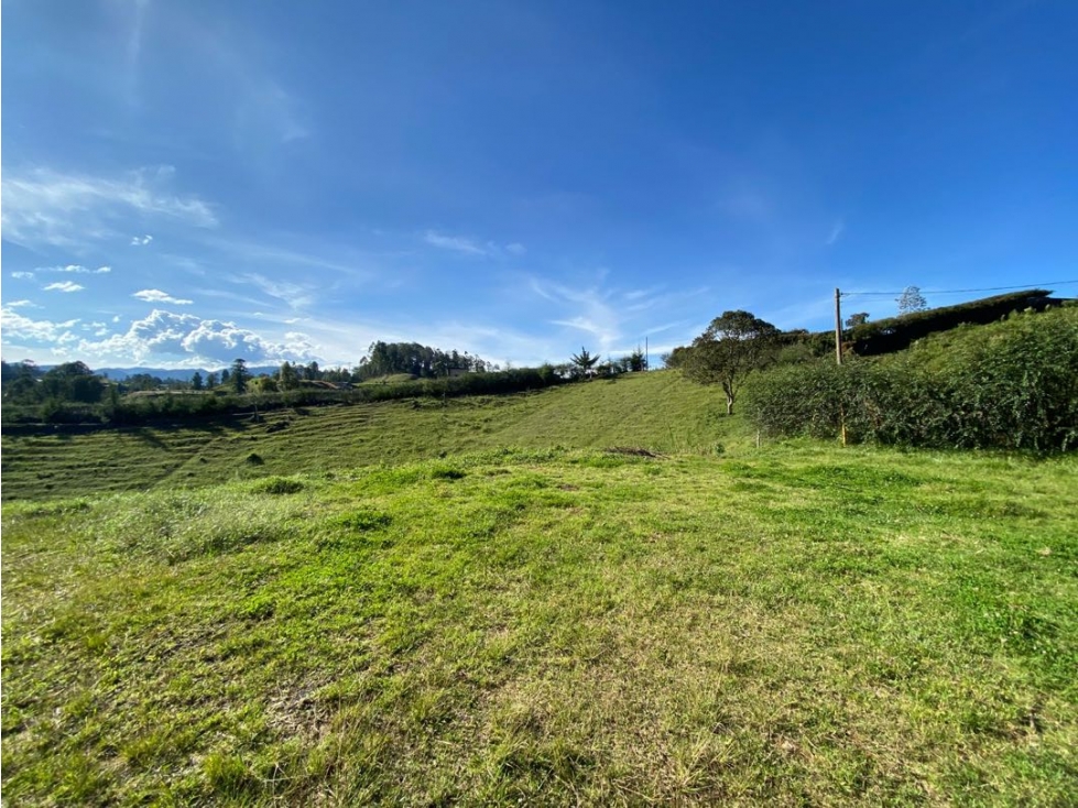 LOTE EN EL RETIRO - Vereda El Portento — foto 4