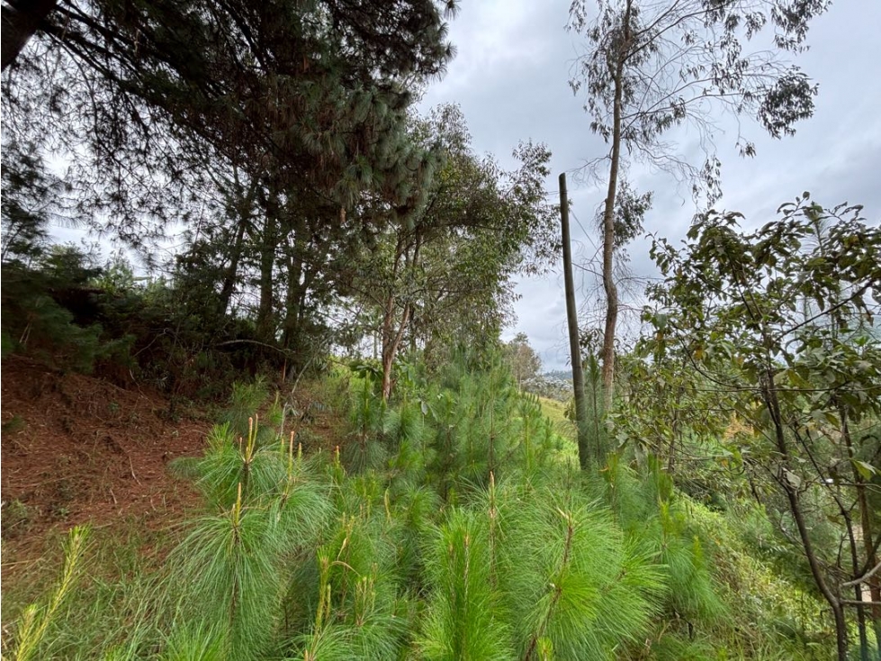 LOTE EN EL RETIRO VEREDA EL PORTENTO ÁREA a 2 km de la vía — foto 6