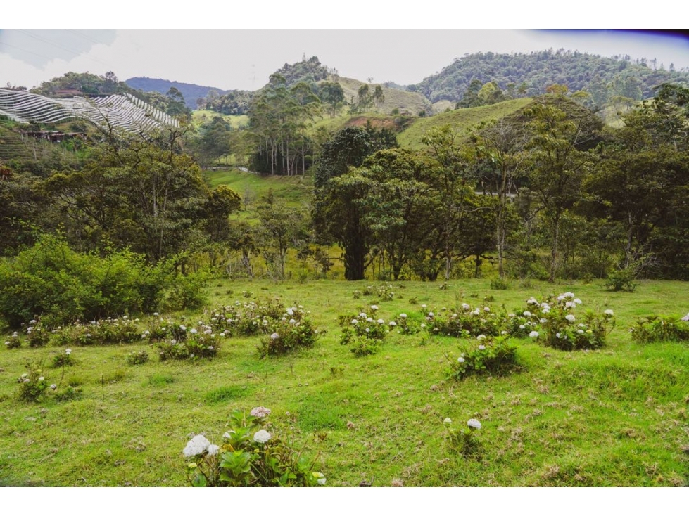Vendo lote independiente en el Retiro | Vereda la Amapola — foto 6