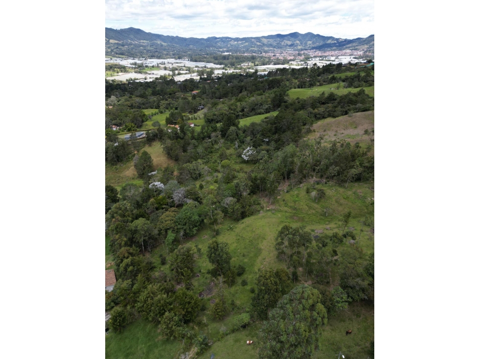 Lote en el sector el Capiro vía La Ceja - Ríonegro — foto 3