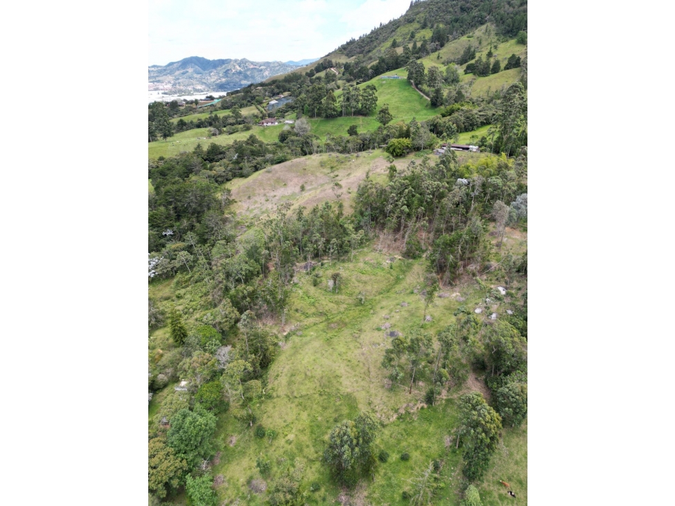 Lote en el sector el Capiro vía La Ceja - Ríonegro — foto 4