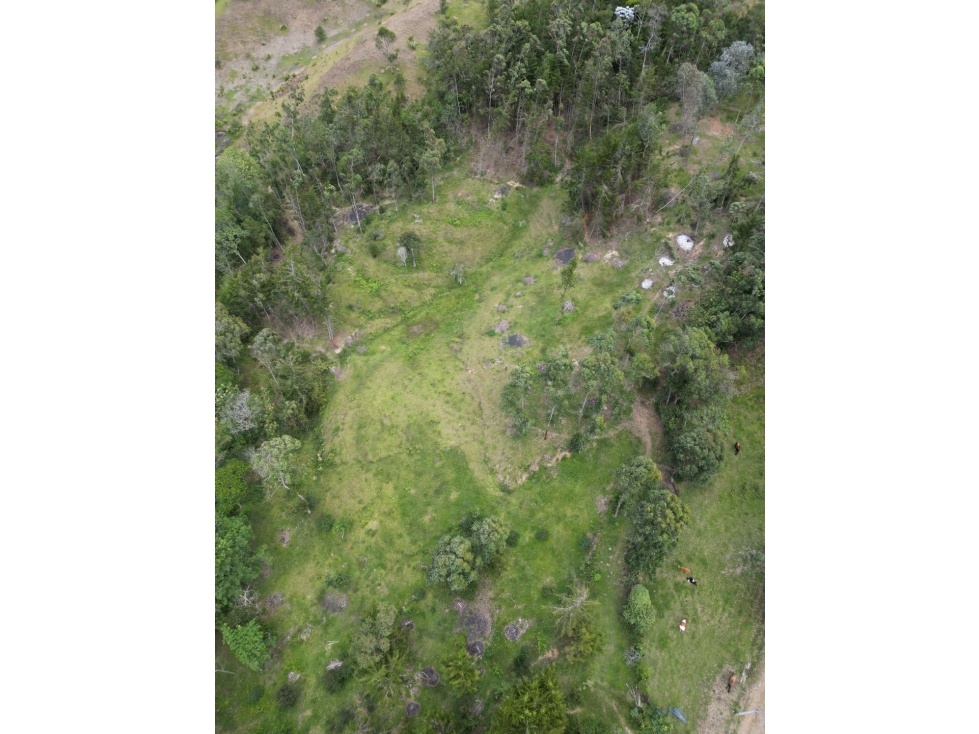 Lote en el sector el Capiro vía La Ceja - Ríonegro — foto 5