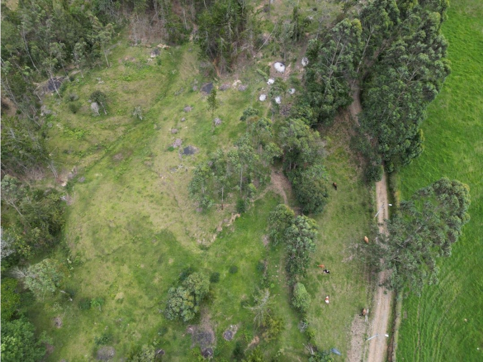 Lote en el sector el Capiro vía La Ceja - Ríonegro — foto 6