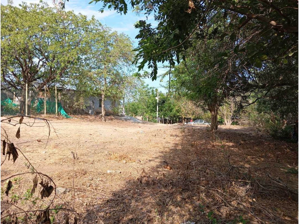 Lote En El sector La Paz Por Bello Horizonte Santa Marta Colombia — foto 2