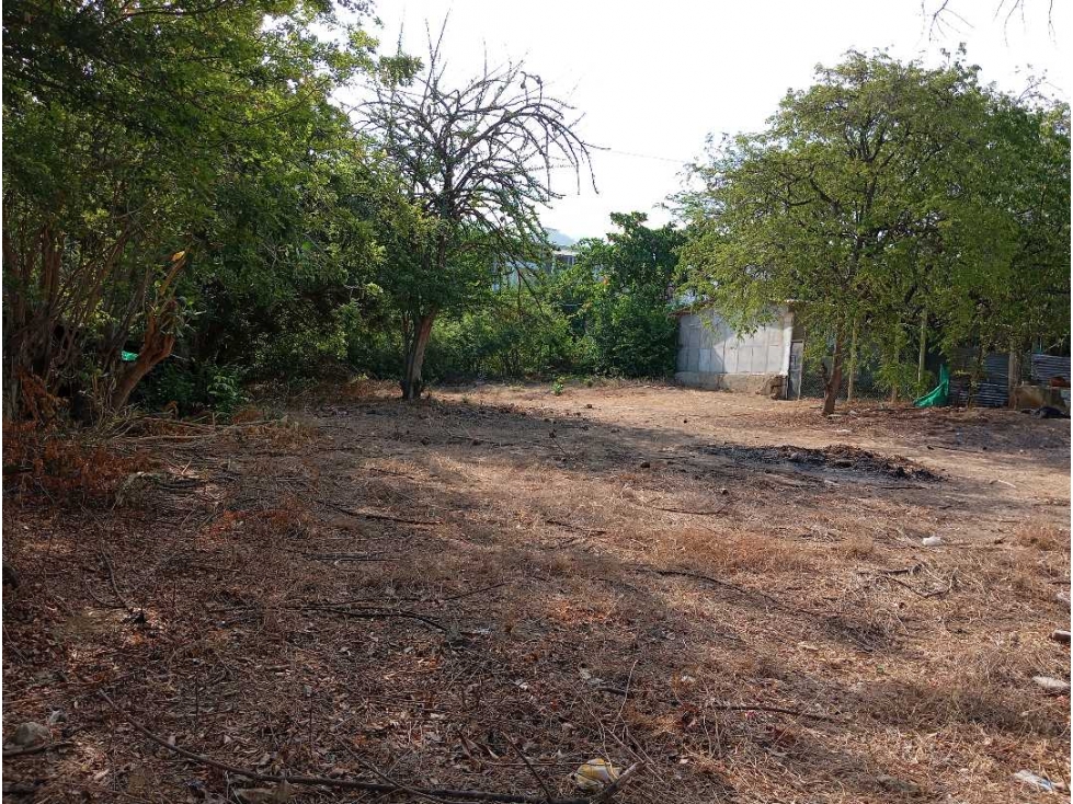 Lote En El sector La Paz Por Bello Horizonte Santa Marta Colombia — foto 3