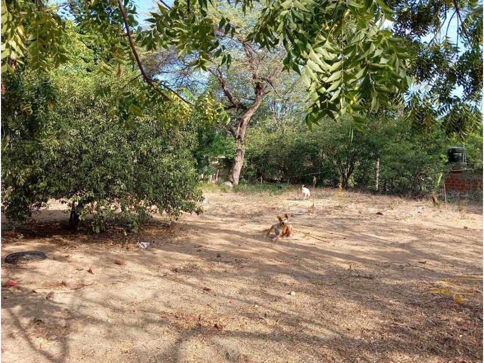 Lote En El sector La Paz Por Bello Horizonte Santa Marta Colombia — foto 6