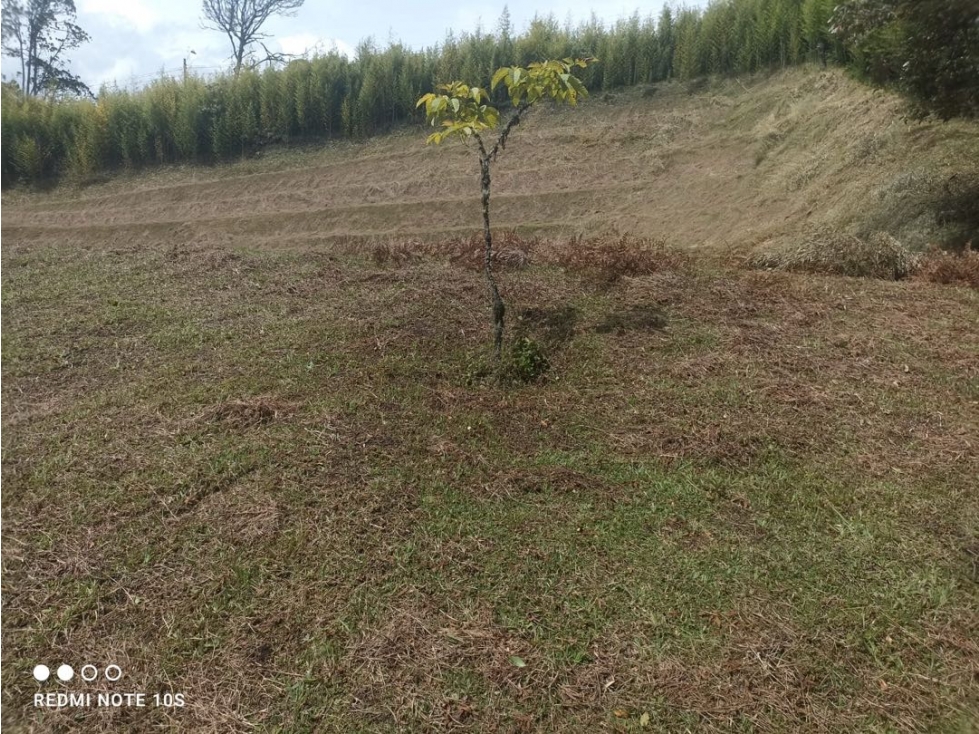 HERMOSO LOTE EN PARCELACION EXCLUSIVA LLANOGRANDE