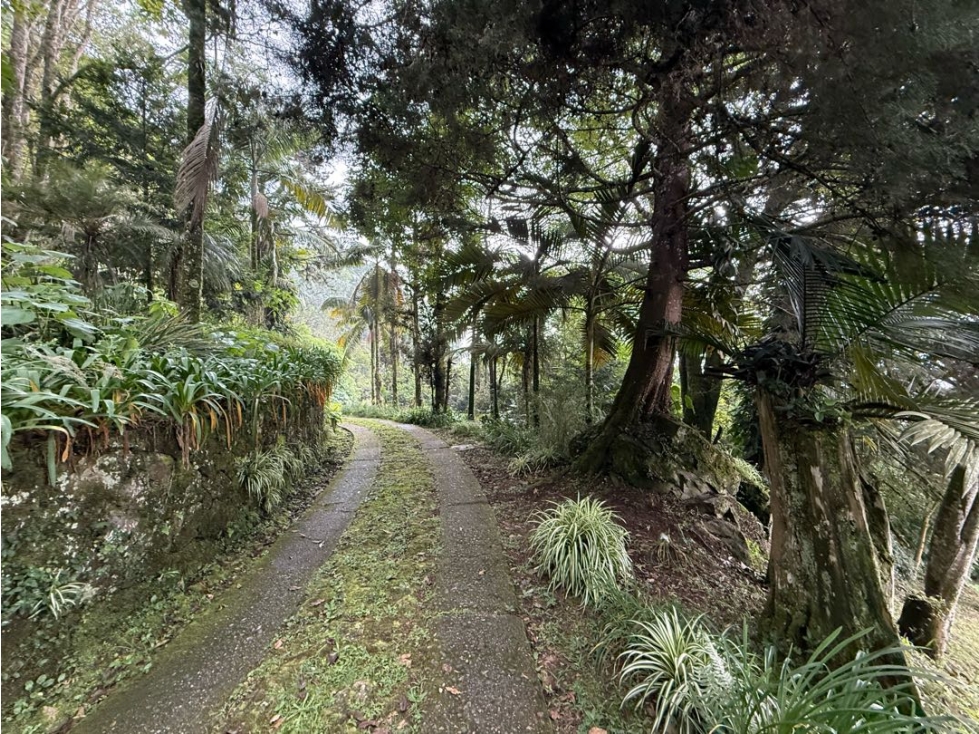 LOTE EN ENVIGADO PARTE ALTA A 8 MINUTOS DEL TESORO — foto 4