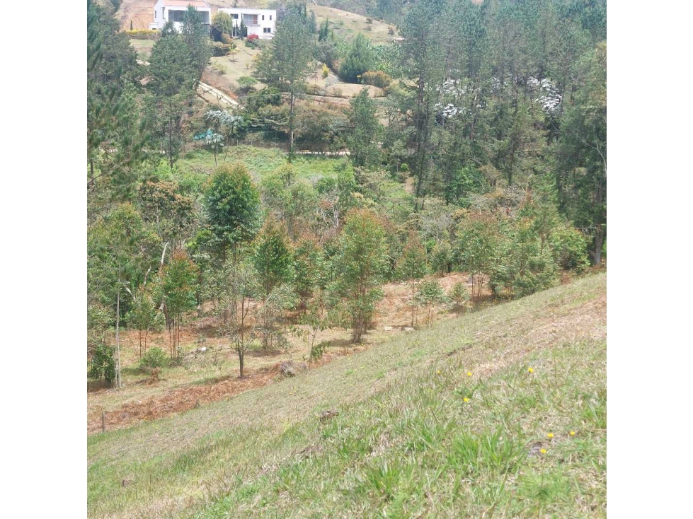 Lote en excelente parcelación. EL RETIRO Antioquia