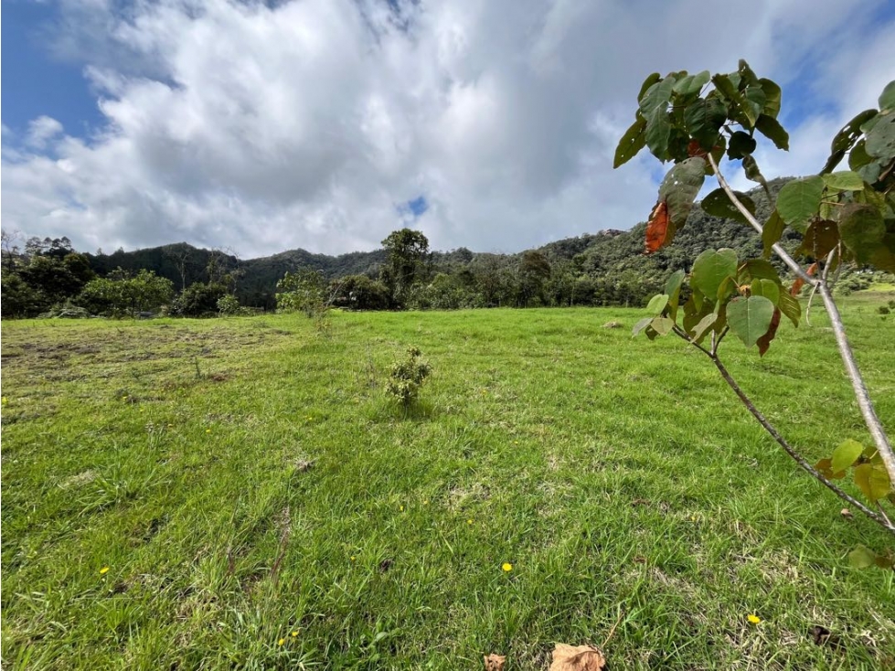 VENTA DE LOTE EN EXCLUSIVA PARCELACIÓN ESCOBERO