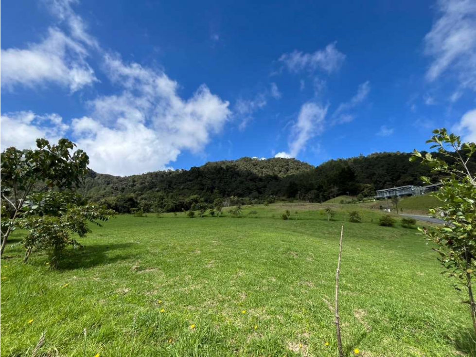 VENTA DE LOTE EN EXCLUSIVA PARCELACIÓN ESCOBERO — foto 5