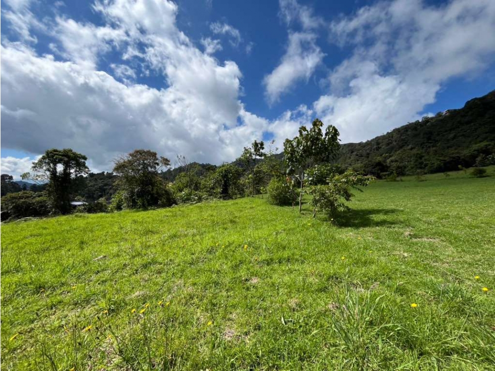 VENTA DE LOTE EN EXCLUSIVA PARCELACIÓN ESCOBERO — foto 6