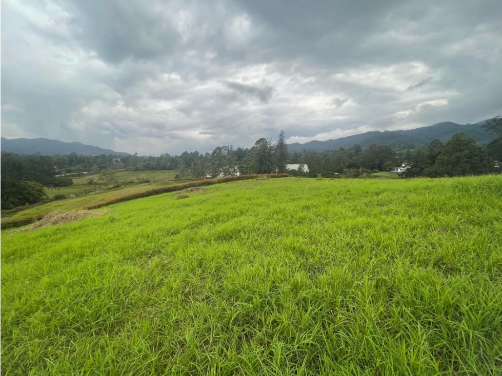 LOTE EN FIZEBAD