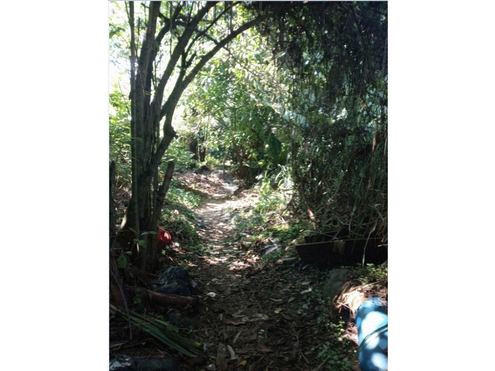 LOTE en Gestion - Cali, Valle Del Cauca