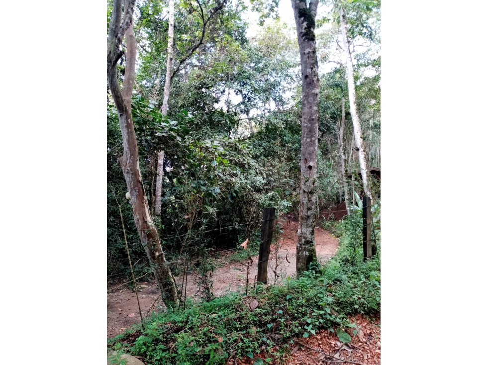 LOTE en Gestion - Calima, Valle Del Cauca - 1