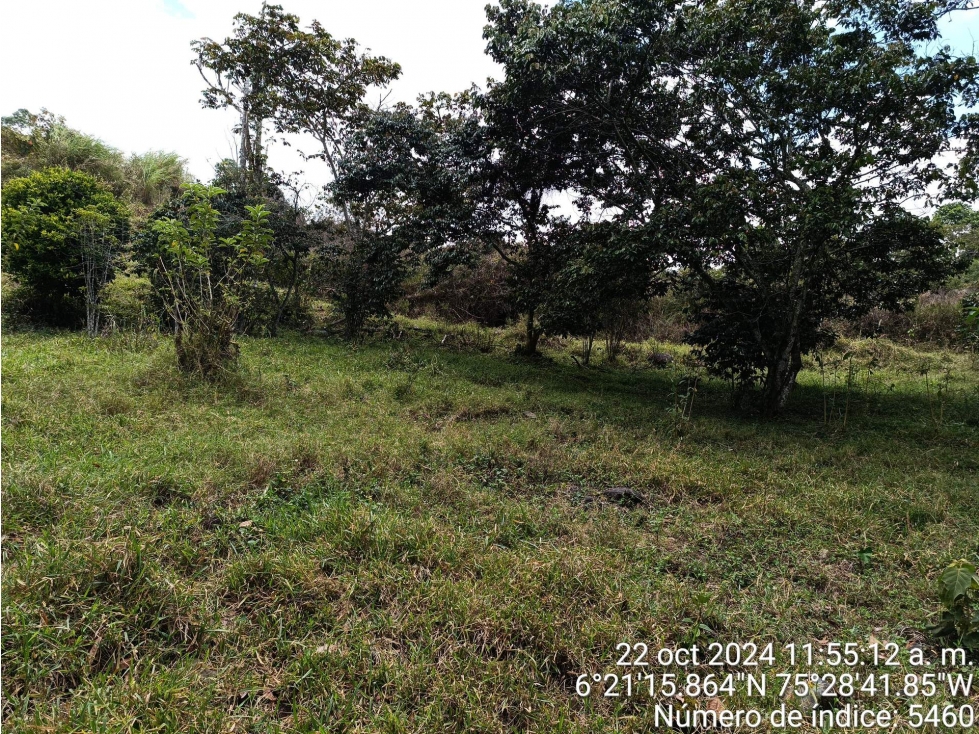 LOTE en Gestion - COPACABANA, ANTIOQUIA — foto 2