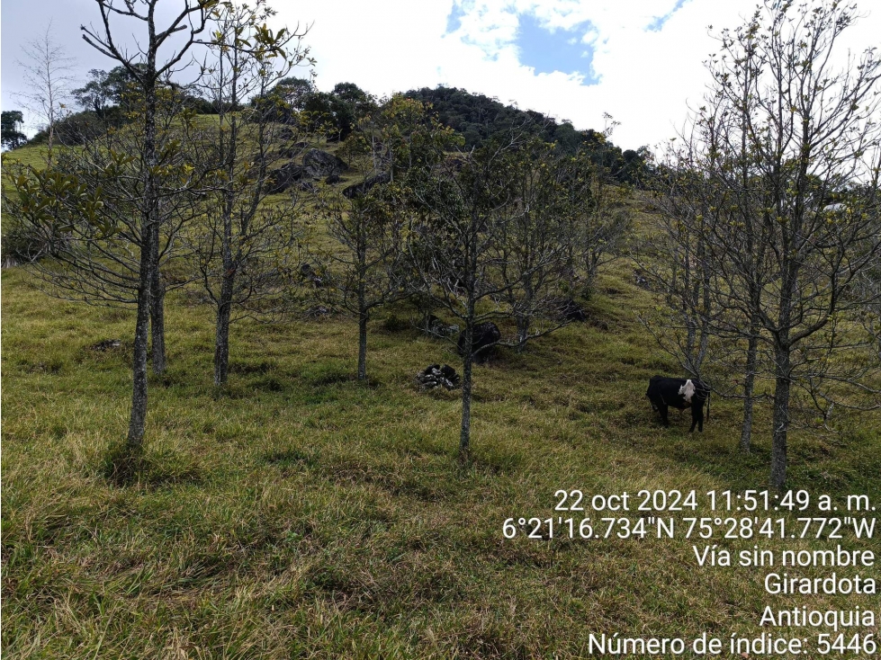 LOTE en Gestion - COPACABANA, ANTIOQUIA — foto 3