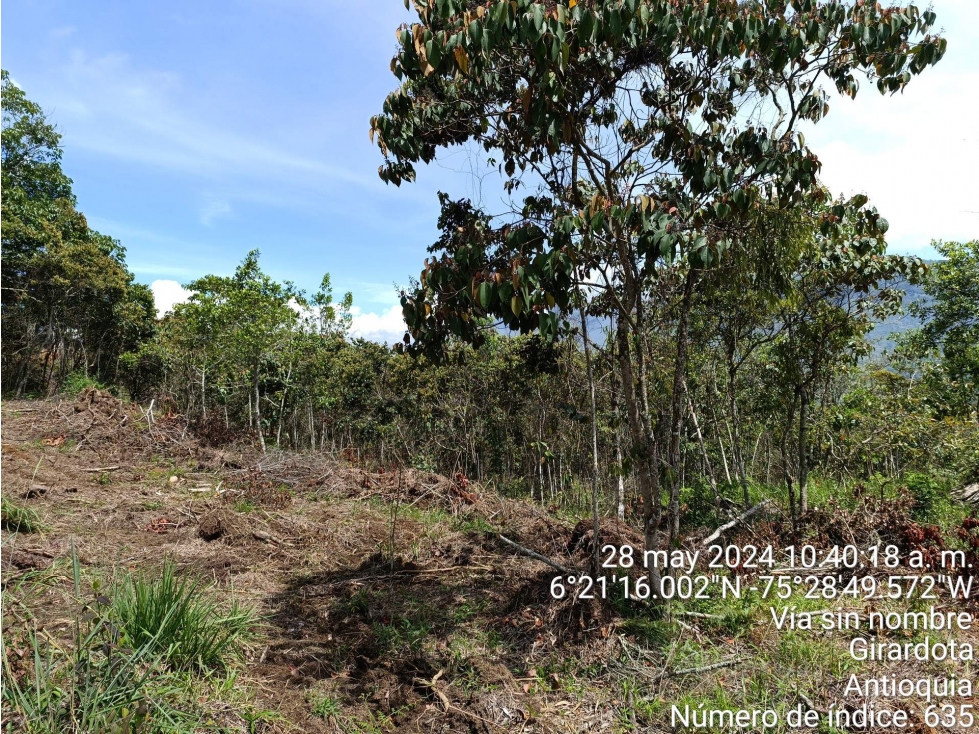 LOTE en Gestion - COPACABANA, ANTIOQUIA — foto 5