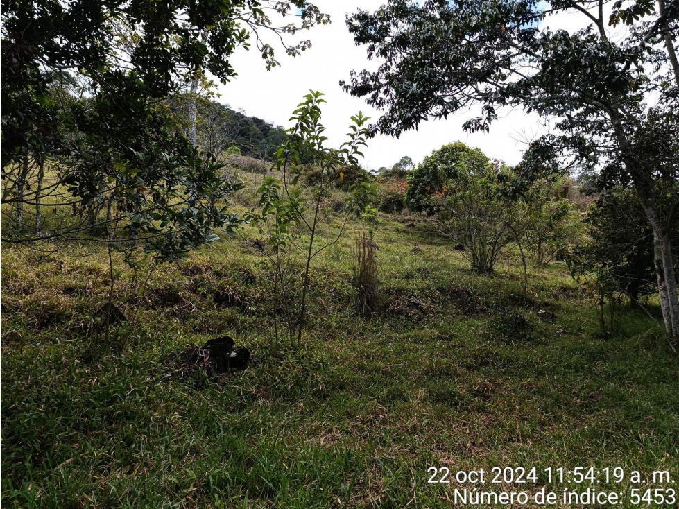 LOTE en Gestion - COPACABANA, ANTIOQUIA — foto 5