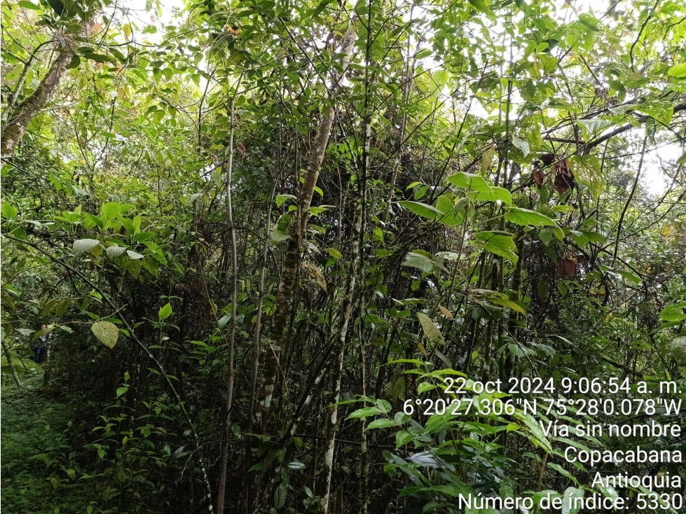 LOTE en Gestion - COPACABANA, ANTIOQUIA